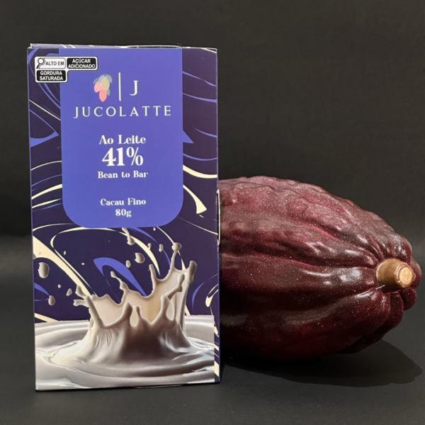 Barra de Chocolate 41% Ao Leite 80g